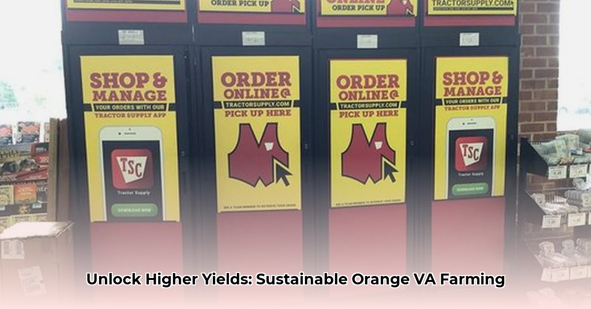 orange-va-tractor-supply